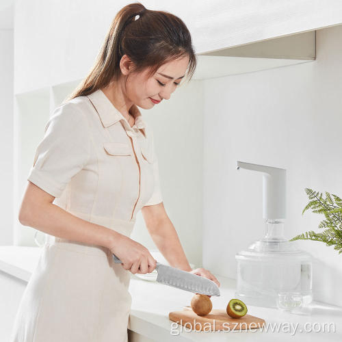 Xiaomi Xiaolang Water Dispenser Xiaomi Xiaolang Automatic Water Dispenser Pump with TDS Manufactory